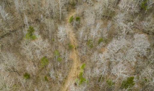 Photo of SOLD!!  106.89 Acres of Hunting Land with House For Sale in Person County NC!