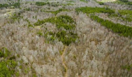 Photo of SOLD!!  106.89 Acres of Hunting Land with House For Sale in Person County NC!