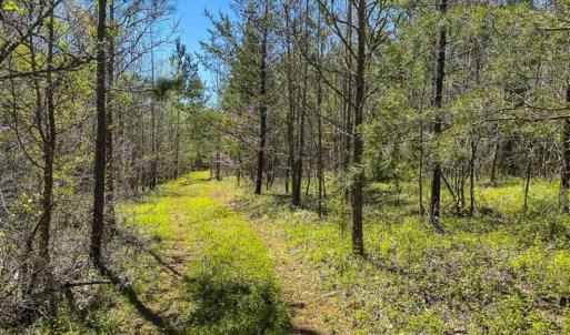 Photo of SOLD!!  106.89 Acres of Hunting Land with House For Sale in Person County NC!