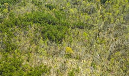 Photo of SOLD!!  106.89 Acres of Hunting Land with House For Sale in Person County NC!