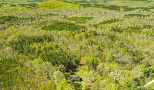 Photo of SOLD!!  106.89 Acres of Hunting Land with House For Sale in Person County NC!