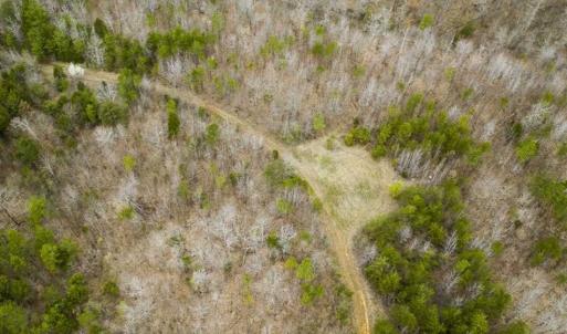 Photo of SOLD!!  106.89 Acres of Hunting Land with House For Sale in Person County NC!