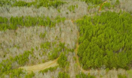 Photo of SOLD!!  106.89 Acres of Hunting Land with House For Sale in Person County NC!