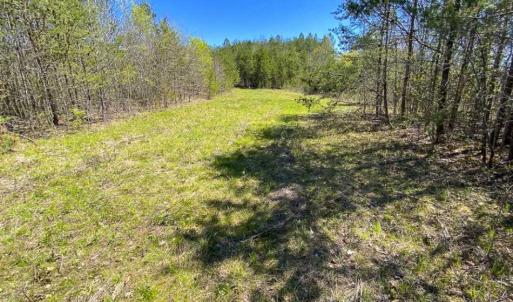 Photo of SOLD!!  106.89 Acres of Hunting Land with House For Sale in Person County NC!