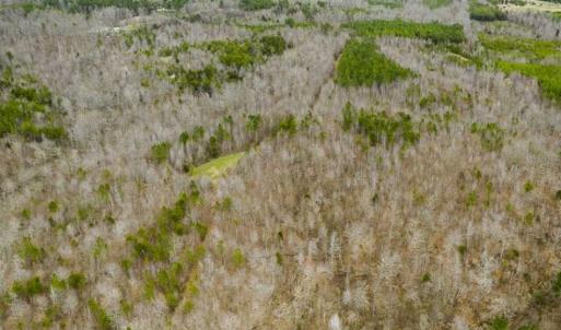 Photo of SOLD!!  106.89 Acres of Hunting Land with House For Sale in Person County NC!