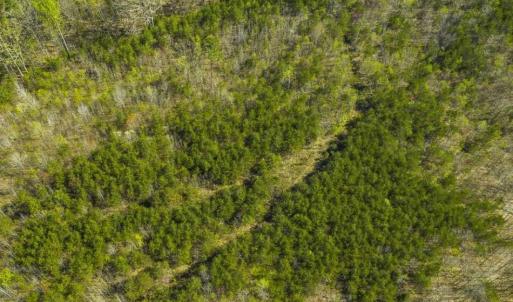 Photo of SOLD!!  106.89 Acres of Hunting Land with House For Sale in Person County NC!