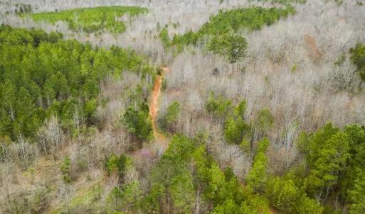 Photo of SOLD!!  106.89 Acres of Hunting Land with House For Sale in Person County NC!