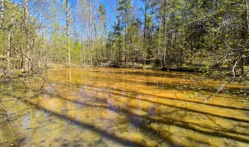 Photo of SOLD!!  106.89 Acres of Hunting Land with House For Sale in Person County NC!