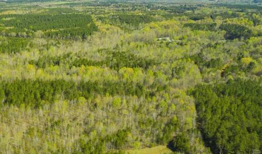 Photo of SOLD!!  106.89 Acres of Hunting Land with House For Sale in Person County NC!