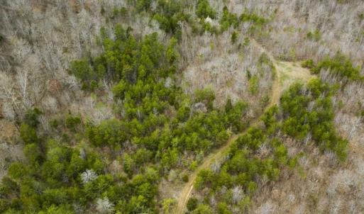 Photo of SOLD!!  106.89 Acres of Hunting Land with House For Sale in Person County NC!
