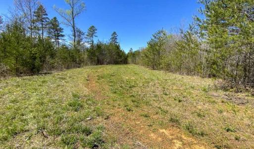 Photo of SOLD!!  106.89 Acres of Hunting Land with House For Sale in Person County NC!