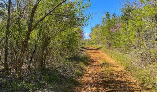 Photo of SOLD!!  106.89 Acres of Hunting Land with House For Sale in Person County NC!