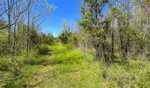 Photo of SOLD!!  106.89 Acres of Hunting Land with House For Sale in Person County NC!