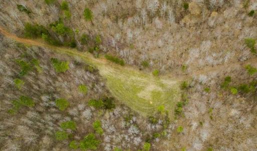 Photo of SOLD!!  106.89 Acres of Hunting Land with House For Sale in Person County NC!