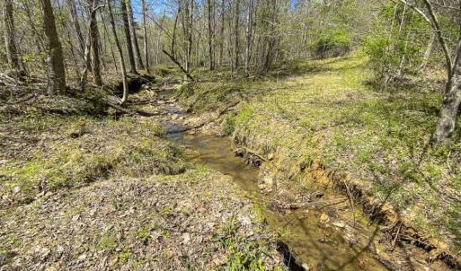 Photo of SOLD!!  106.89 Acres of Hunting Land with House For Sale in Person County NC!