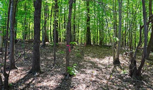 Photo of SOLD!!  1.02 Acres of Residential Land For Sale in Halifax County NC!