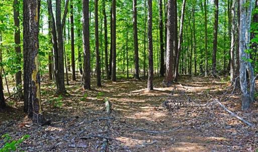 Photo of SOLD!!  1.02 Acres of Residential Land For Sale in Halifax County NC!