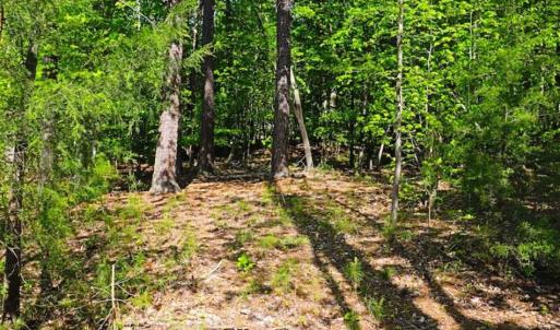 Photo of SOLD!!  1.02 Acres of Residential Land For Sale in Halifax County NC!
