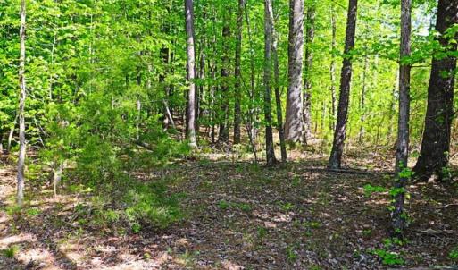 Photo of SOLD!!  1.02 Acres of Residential Land For Sale in Halifax County NC!