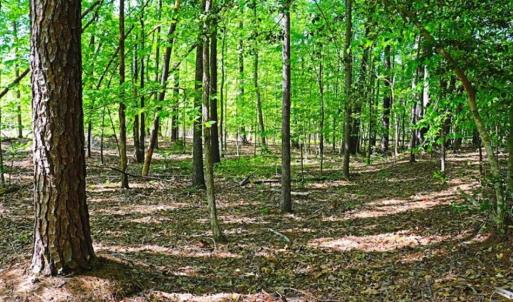 Photo of SOLD!!  1.02 Acres of Residential Land For Sale in Halifax County NC!