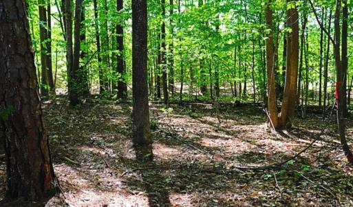 Photo of SOLD!!  1.02 Acres of Residential Land For Sale in Halifax County NC!