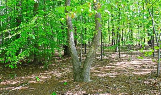 Photo of SOLD!!  1.02 Acres of Residential Land For Sale in Halifax County NC!