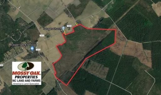 Photo of REDUCED!  218 Acres of Hunting and Timber Land For Sale in Gates County NC!