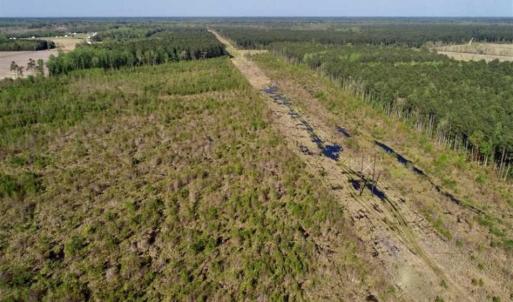 Photo of REDUCED!  218 Acres of Hunting and Timber Land For Sale in Gates County NC!