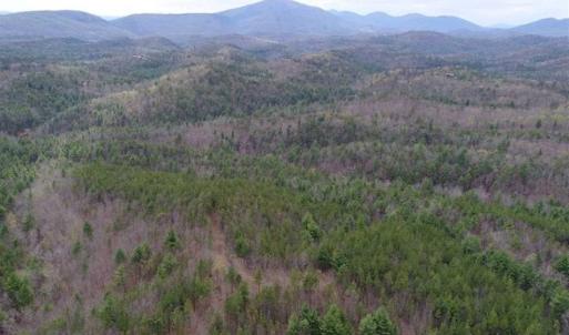 Photo of UNDER CONTRACT!! 33 Acres of Residential and Hunting Land in Alleghany County VA!