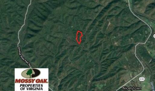 Photo of UNDER CONTRACT!! 33 Acres of Residential and Hunting Land in Alleghany County VA!