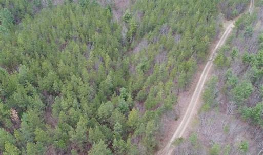 Photo of UNDER CONTRACT!! 33 Acres of Residential and Hunting Land in Alleghany County VA!