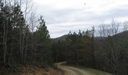 Photo of UNDER CONTRACT!! 33 Acres of Residential and Hunting Land in Alleghany County VA!