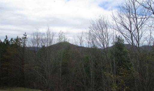 Photo of UNDER CONTRACT!! 33 Acres of Residential and Hunting Land in Alleghany County VA!