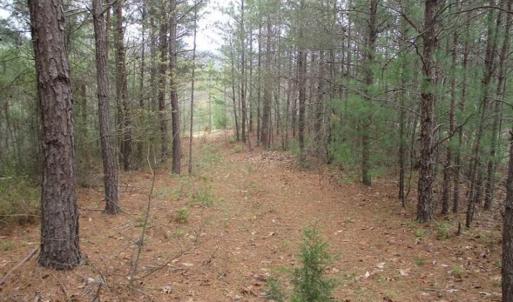 Photo of UNDER CONTRACT!! 33 Acres of Residential and Hunting Land in Alleghany County VA!