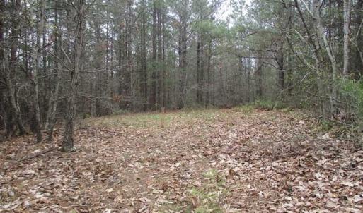Photo of UNDER CONTRACT!! 33 Acres of Residential and Hunting Land in Alleghany County VA!