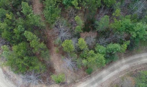 Photo of UNDER CONTRACT!! 33 Acres of Residential and Hunting Land in Alleghany County VA!