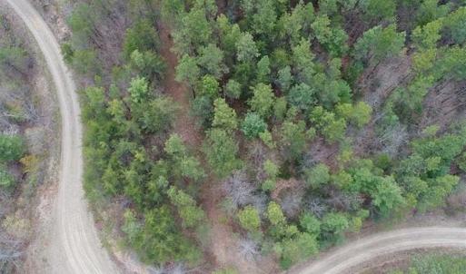 Photo of UNDER CONTRACT!! 33 Acres of Residential and Hunting Land in Alleghany County VA!
