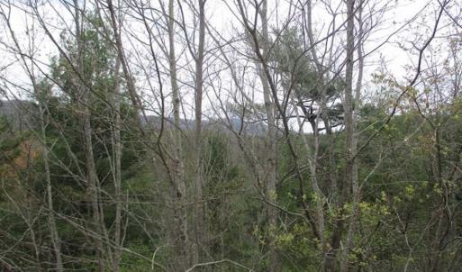 Photo of UNDER CONTRACT!! 33 Acres of Residential and Hunting Land in Alleghany County VA!
