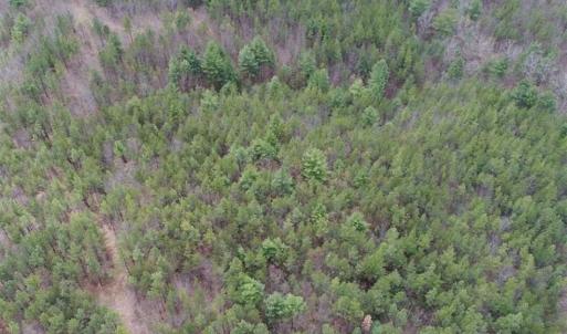 Photo of UNDER CONTRACT!! 33 Acres of Residential and Hunting Land in Alleghany County VA!