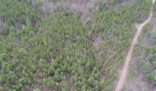 Photo of UNDER CONTRACT!! 33 Acres of Residential and Hunting Land in Alleghany County VA!