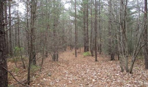 Photo of UNDER CONTRACT!! 33 Acres of Residential and Hunting Land in Alleghany County VA!