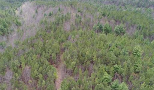 Photo of UNDER CONTRACT!! 33 Acres of Residential and Hunting Land in Alleghany County VA!