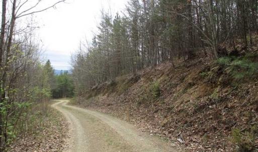 Photo of UNDER CONTRACT!! 33 Acres of Residential and Hunting Land in Alleghany County VA!