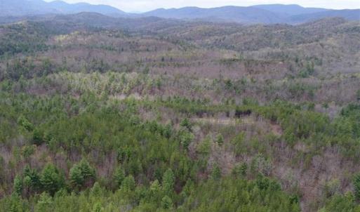 Photo of UNDER CONTRACT!! 33 Acres of Residential and Hunting Land in Alleghany County VA!