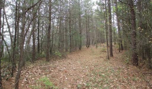 Photo of UNDER CONTRACT!! 33 Acres of Residential and Hunting Land in Alleghany County VA!
