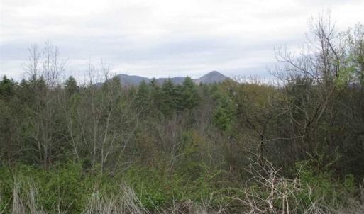 Photo of UNDER CONTRACT!! 33 Acres of Residential and Hunting Land in Alleghany County VA!