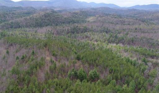 Photo of UNDER CONTRACT!! 33 Acres of Residential and Hunting Land in Alleghany County VA!