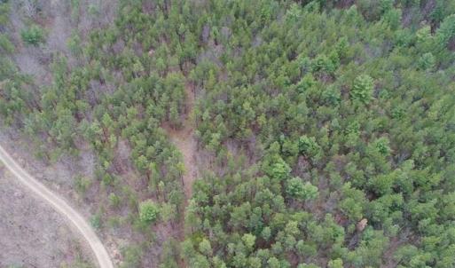 Photo of UNDER CONTRACT!! 33 Acres of Residential and Hunting Land in Alleghany County VA!