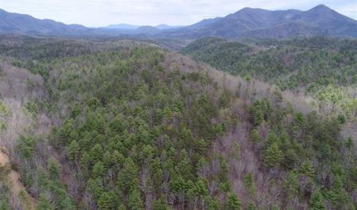 Photo of UNDER CONTRACT!! 33 Acres of Residential and Hunting Land in Alleghany County VA!