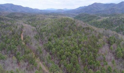 Photo of UNDER CONTRACT!! 33 Acres of Residential and Hunting Land in Alleghany County VA!